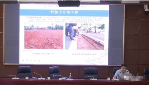 提升專業技能，筑牢質量防線——我市舉辦綠化工程質量檢測培訓