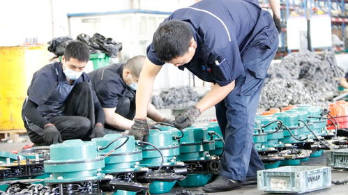 價格與價值:爬架電動提升機(jī)的檢測技術(shù)服務(wù)探討